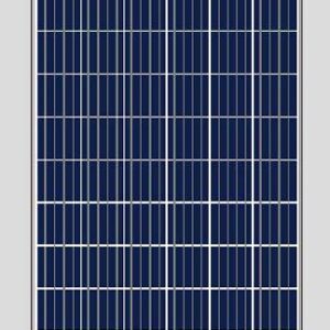 SOLARPAWA SP275P POLY