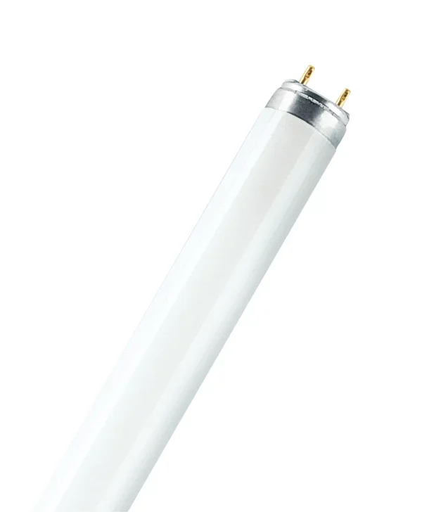 OSRAM L 18W/6500K